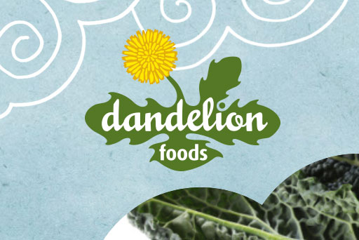 Dandelion