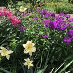 Whitehouse Nursery and Display Gardens